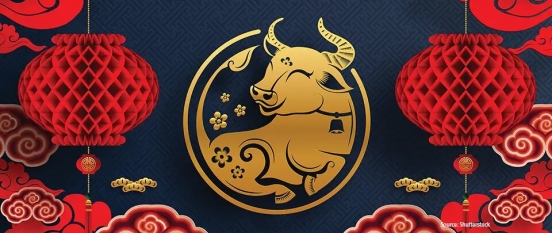 Business and Finance In The Year Of The Ox
